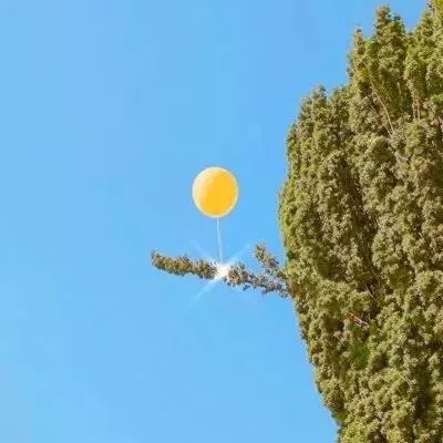 彩信平台官网下载手机版