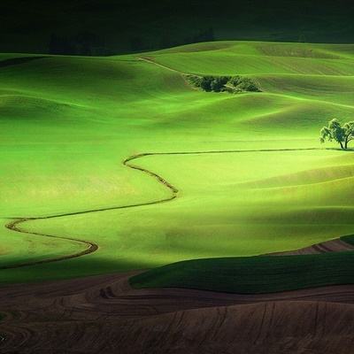 best365官网手机版app下载