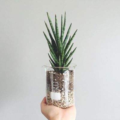 ag亚游APP登陆手机app下载