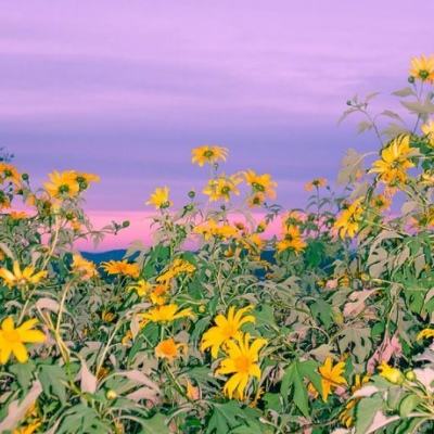 香港资料大全下载手机版