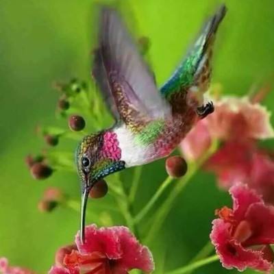 金年会·体育APP