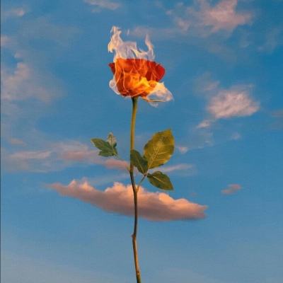 金年会·体育APP