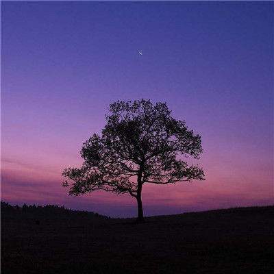 星空下载app下载