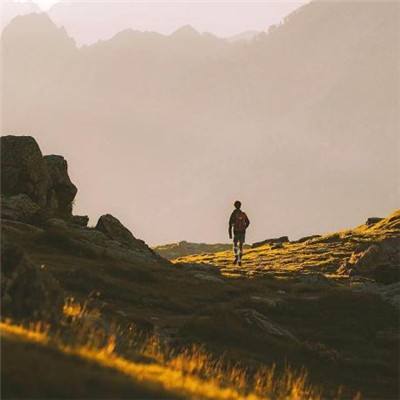 大发黄金版app下载手机app下载