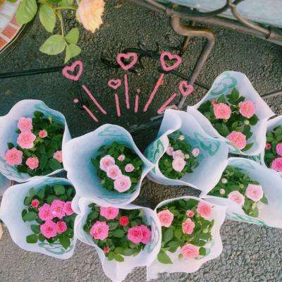 电子游戏bbin官方