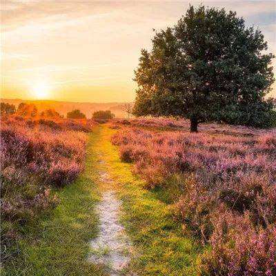 ag亚游APP登陆手机app下载