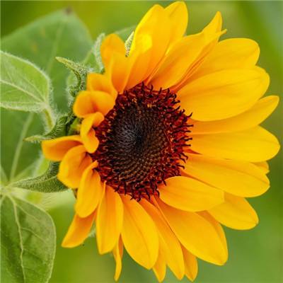 澳门太阳游戏城appapp下载