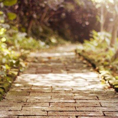 半导体育官方app