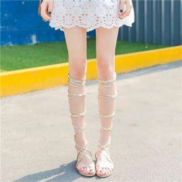 中欧体育app下载官网